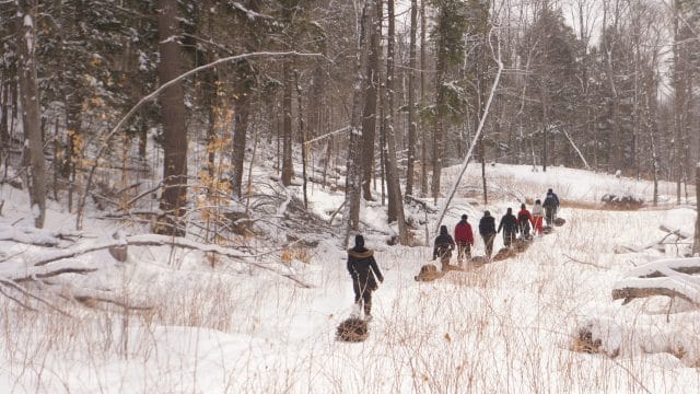 hikers trek through snowy forest