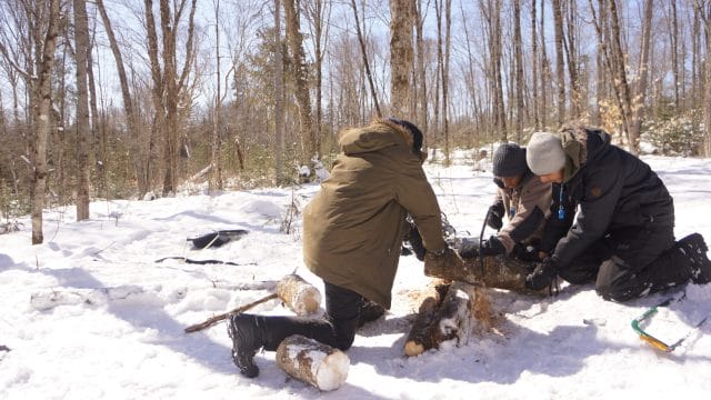 people cutting logs in a snowy forest
