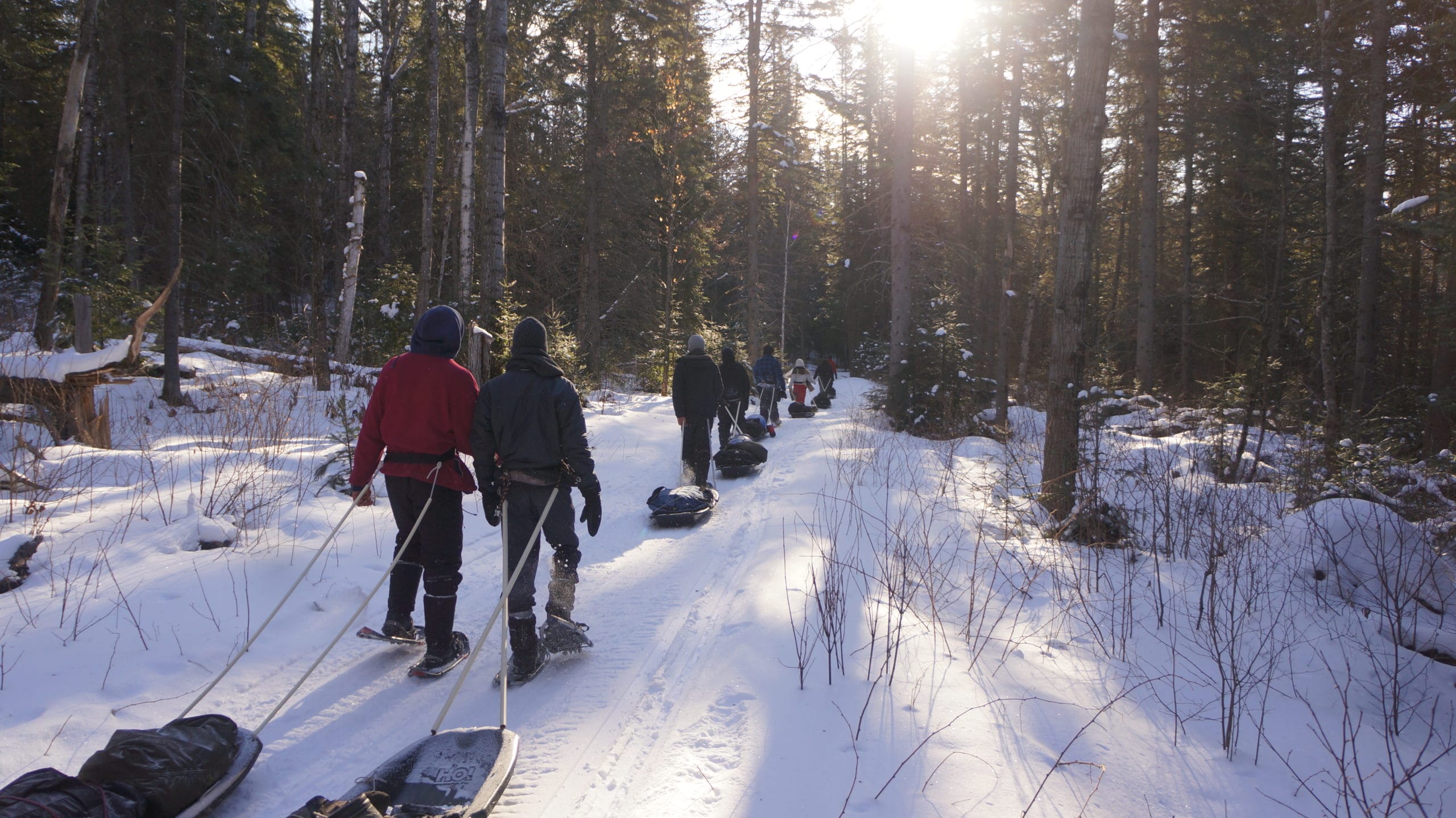 hikers trek through snowy forest