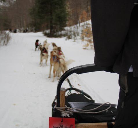 First person perspective from back of sled dogs names listed on sled tag