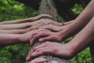 Bursary scholarship hands log nature