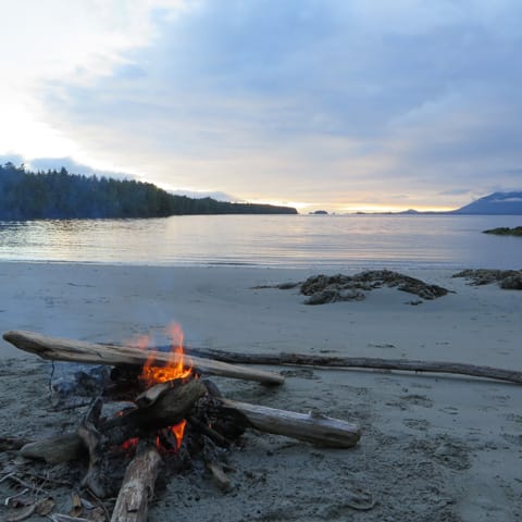campfire on a beach at sunset