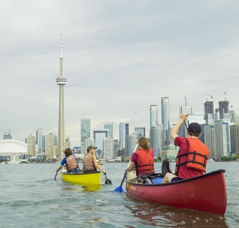group paddling in harbour with CN Tower before them