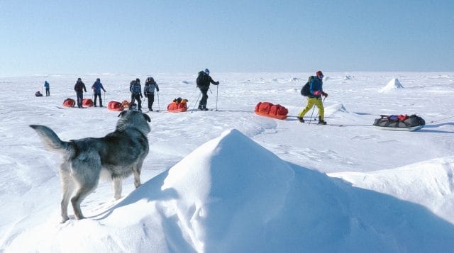 Magnetic north pole reach beyond expedition