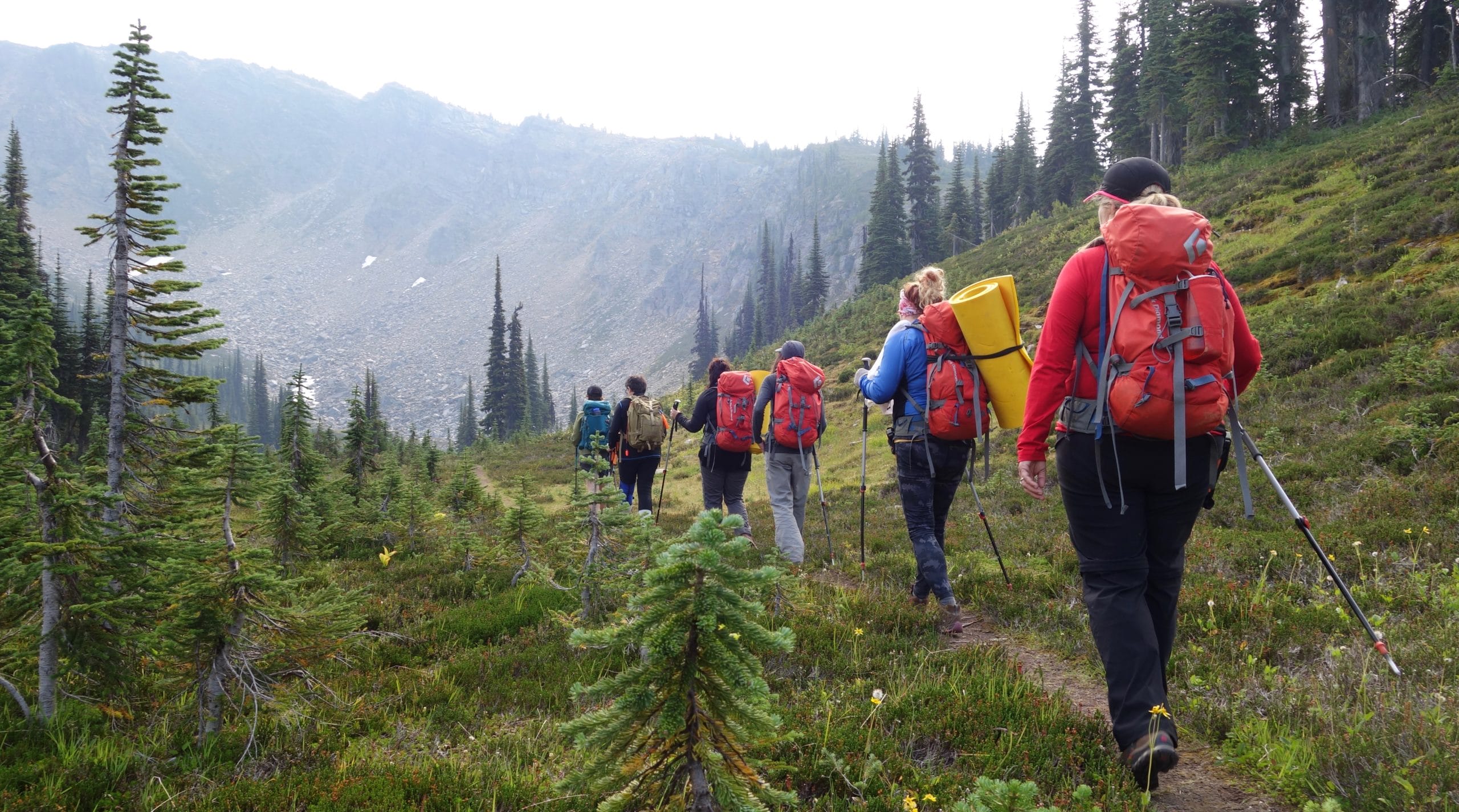 hikers walk into valley
