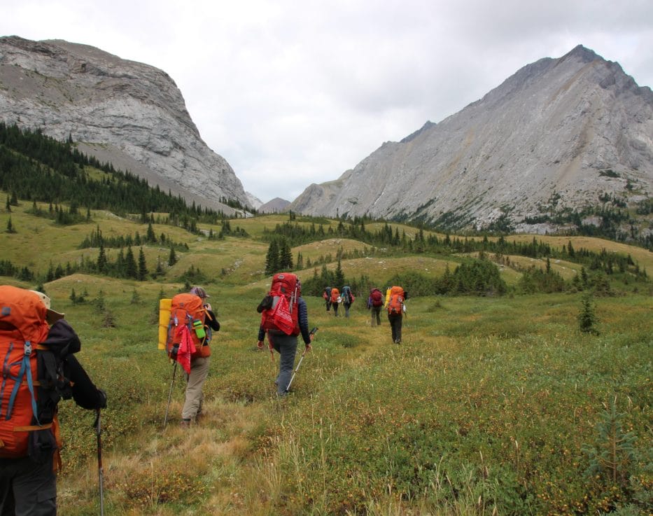 Backpackers walking along trail