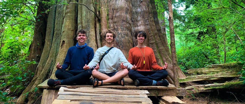 mage of three people sitting in front of a tree in a meditation pose