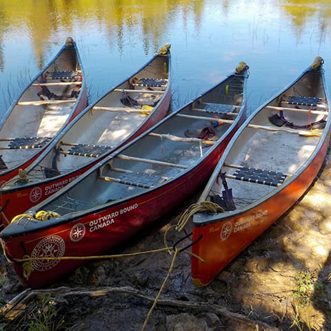 Image of 4 canoes on shore