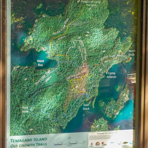 Image of a map of the Temagami Old Growth Trail