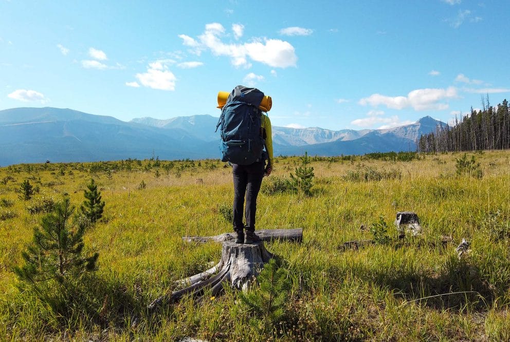 Image of a backpacker standing on a tree stump looking at a mountain range