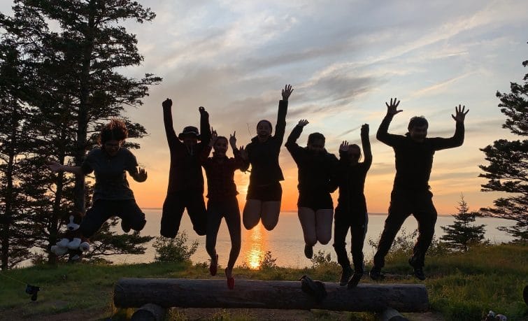 Seven people jumping off a log at sunset