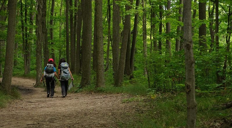 Two people with backpacks hiking on a path through the forest.