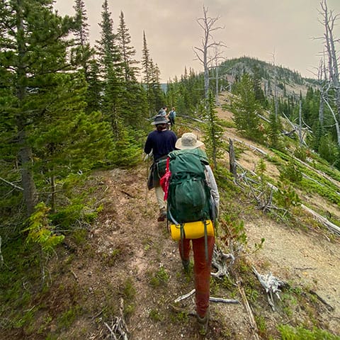 Image of backpackers on a trail leading towards a mountain peak