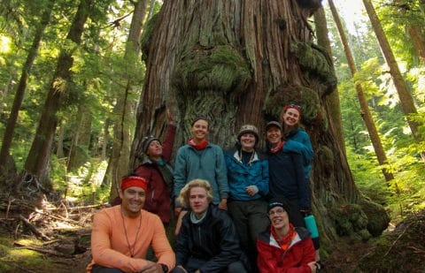 Image of a group of young adults standing in front of a large tree.