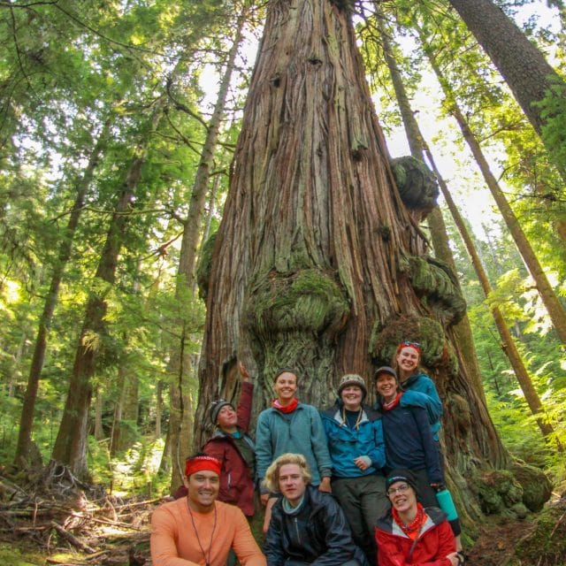 Image of a group of people in front of a tree