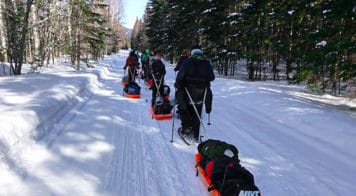 A line of teens pulling pulks in the snow