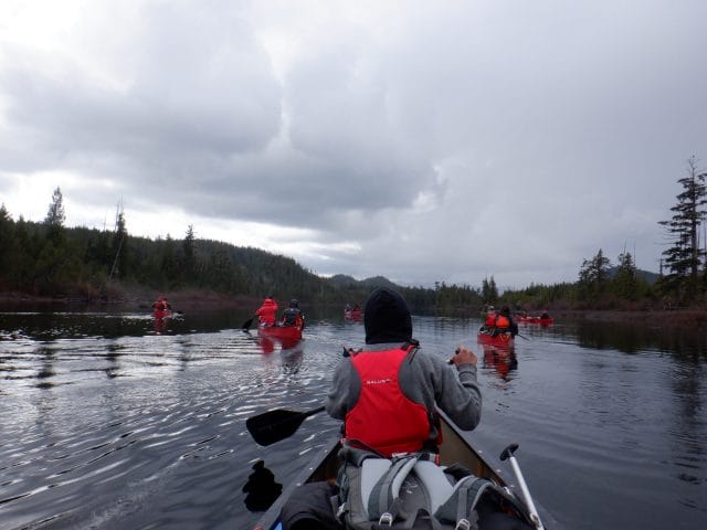 Image of a group of canoes on water