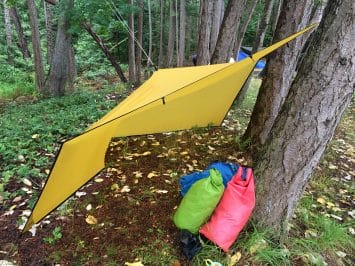 yellow tarp in forest