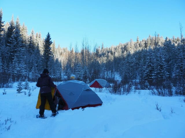 students pitching tent in winter forest