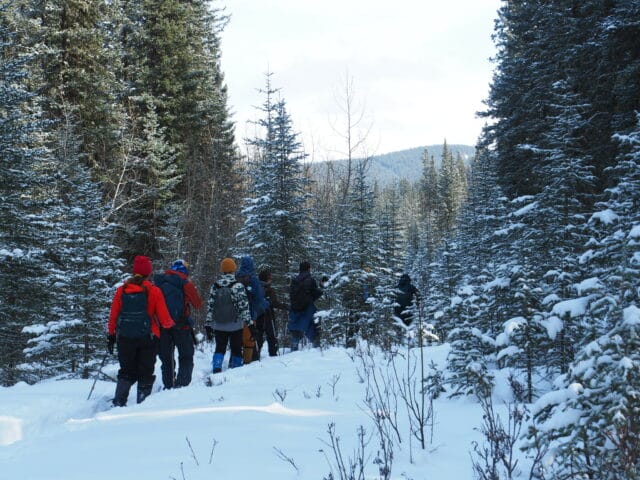 students snowshoeing through a snowy forest