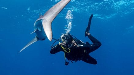 man scubra diving with shark